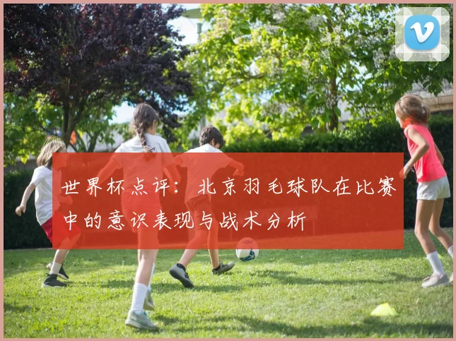世界杯点评：北京羽毛球队在比赛中的意识表现与战术分析